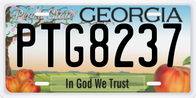 GA license plate PTG8237