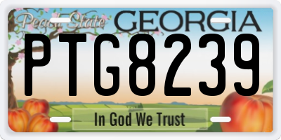 GA license plate PTG8239