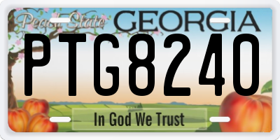 GA license plate PTG8240