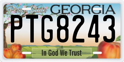 GA license plate PTG8243
