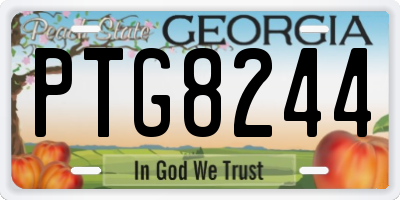 GA license plate PTG8244