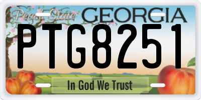 GA license plate PTG8251