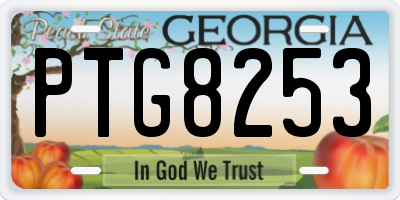 GA license plate PTG8253
