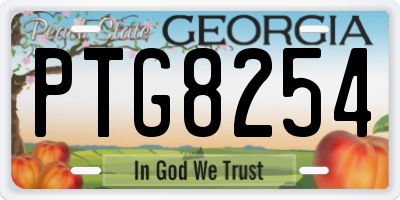 GA license plate PTG8254