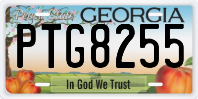 GA license plate PTG8255