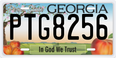 GA license plate PTG8256