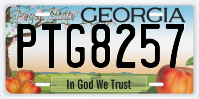 GA license plate PTG8257
