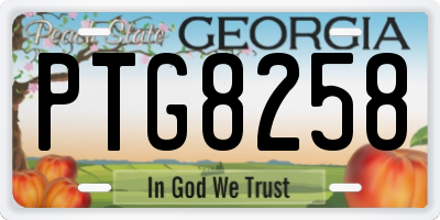 GA license plate PTG8258