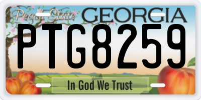 GA license plate PTG8259