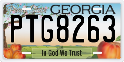 GA license plate PTG8263