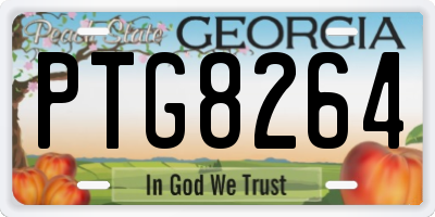 GA license plate PTG8264