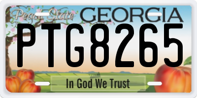 GA license plate PTG8265