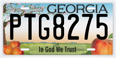 GA license plate PTG8275