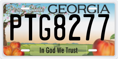 GA license plate PTG8277