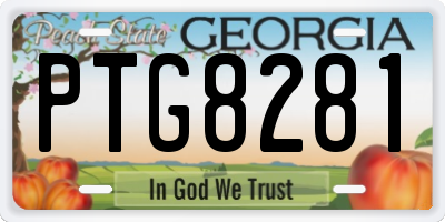 GA license plate PTG8281