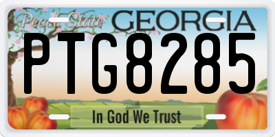GA license plate PTG8285