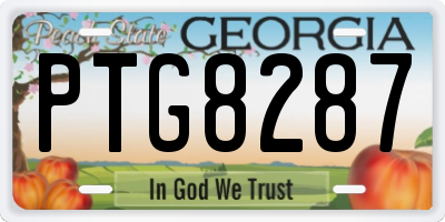 GA license plate PTG8287
