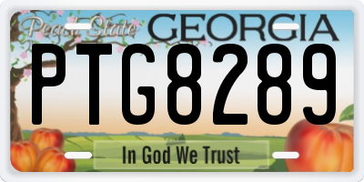 GA license plate PTG8289