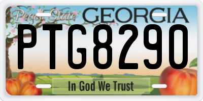 GA license plate PTG8290