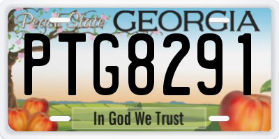 GA license plate PTG8291