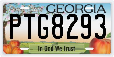 GA license plate PTG8293