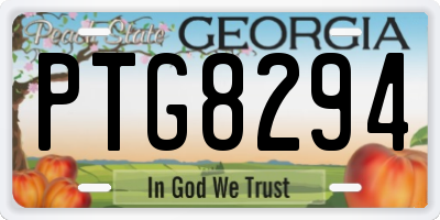 GA license plate PTG8294