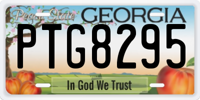 GA license plate PTG8295