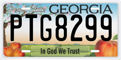 GA license plate PTG8299