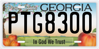 GA license plate PTG8300
