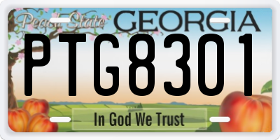 GA license plate PTG8301