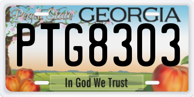 GA license plate PTG8303