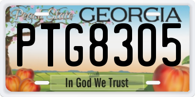 GA license plate PTG8305