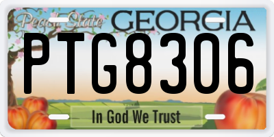 GA license plate PTG8306