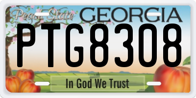 GA license plate PTG8308