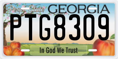 GA license plate PTG8309