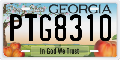 GA license plate PTG8310