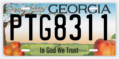 GA license plate PTG8311
