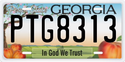 GA license plate PTG8313