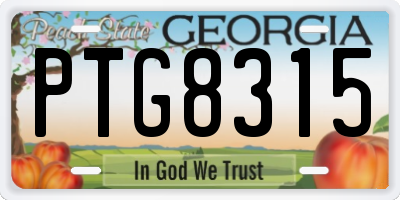 GA license plate PTG8315