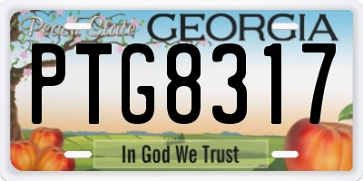 GA license plate PTG8317