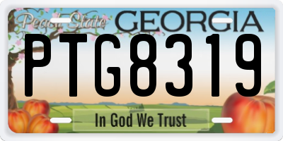 GA license plate PTG8319