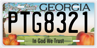 GA license plate PTG8321