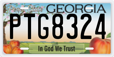 GA license plate PTG8324