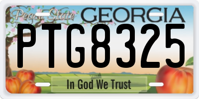 GA license plate PTG8325