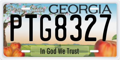 GA license plate PTG8327