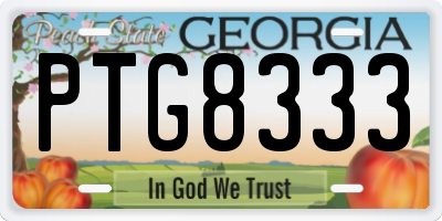 GA license plate PTG8333