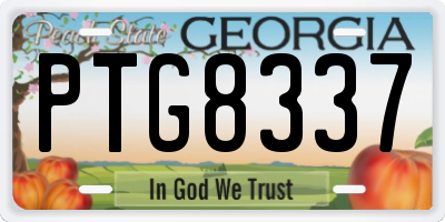 GA license plate PTG8337