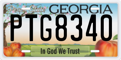 GA license plate PTG8340