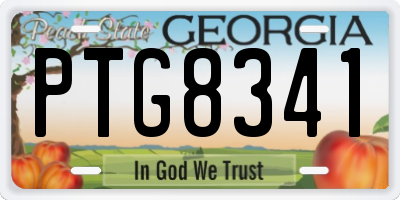 GA license plate PTG8341