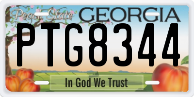 GA license plate PTG8344